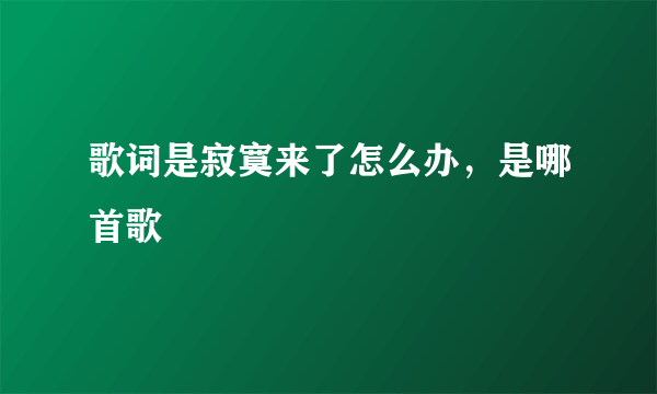 歌词是寂寞来了怎么办，是哪首歌