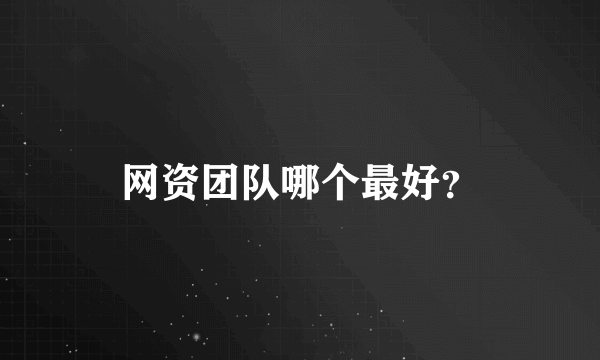 网资团队哪个最好？