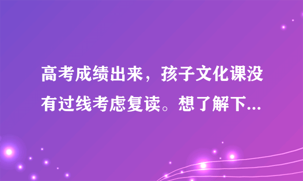 高考成绩出来，孩子文化课没有过线考虑复读。想了解下合肥哪家美术艺考复读培训比较好？