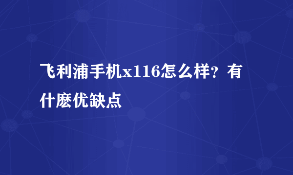 飞利浦手机x116怎么样？有什麽优缺点