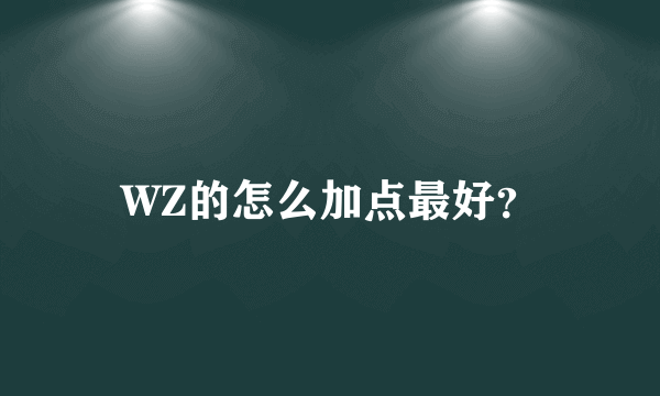 WZ的怎么加点最好？