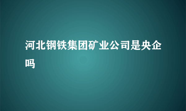 河北钢铁集团矿业公司是央企吗