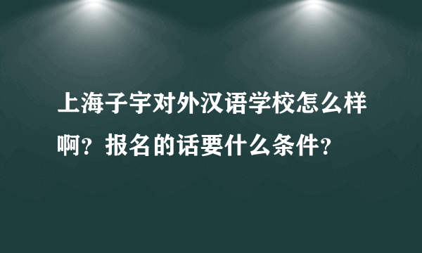 上海子宇对外汉语学校怎么样啊？报名的话要什么条件？