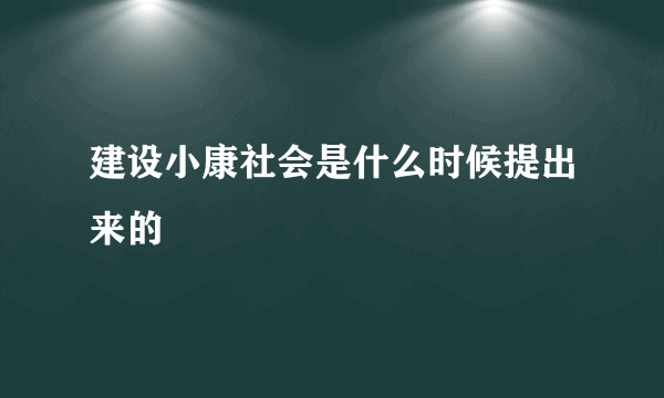 建设小康社会是什么时候提出来的