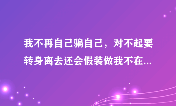 我不再自己骗自己，对不起要转身离去还会假装做我不在意假装我不爱你 是什么歌的歌词