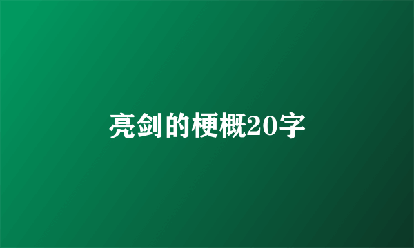 亮剑的梗概20字