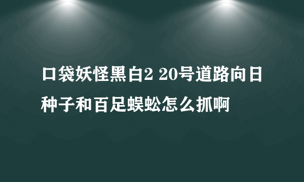 口袋妖怪黑白2 20号道路向日种子和百足蜈蚣怎么抓啊