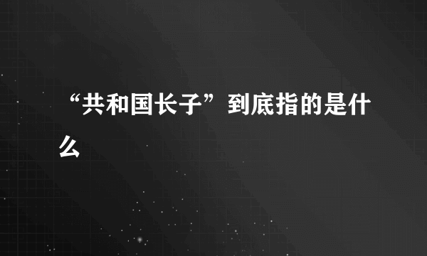 “共和国长子”到底指的是什么