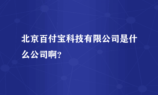 北京百付宝科技有限公司是什么公司啊？