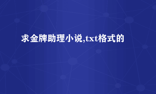 求金牌助理小说,txt格式的