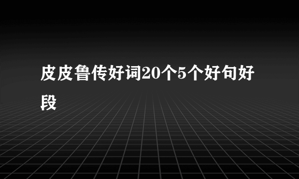 皮皮鲁传好词20个5个好句好段