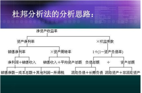 杜邦财务分析体系主要反映哪些财务比率