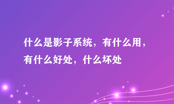 什么是影子系统，有什么用，有什么好处，什么坏处