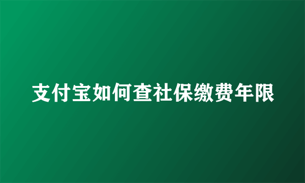 支付宝如何查社保缴费年限