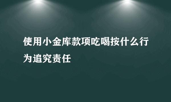 使用小金库款项吃喝按什么行为追究责任