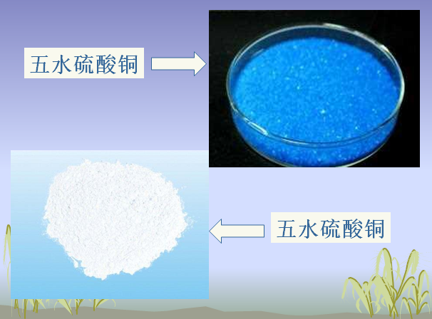 无水硫酸铜和五水硫酸铜的区别是什么