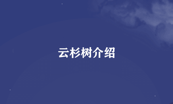 云杉树介绍