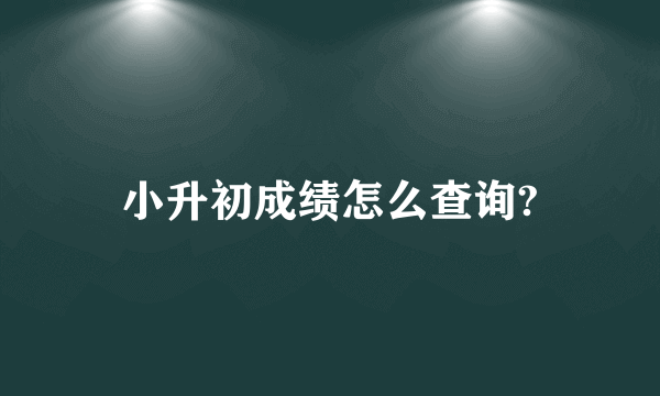 小升初成绩怎么查询?