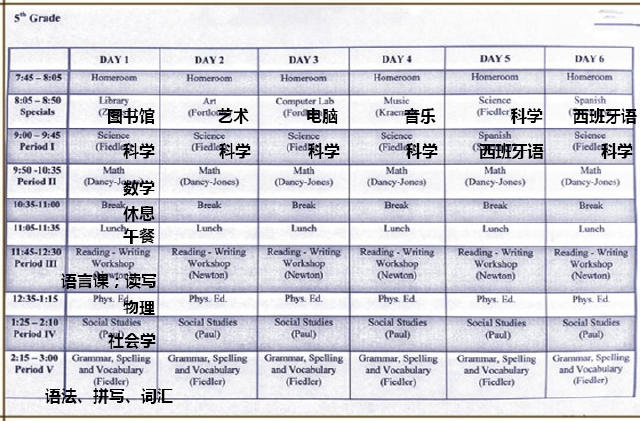 小学课程包括什么？