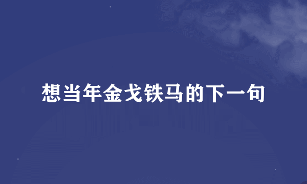 想当年金戈铁马的下一句