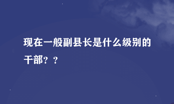 现在一般副县长是什么级别的干部？？