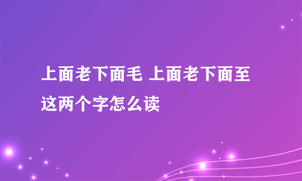 上面老下面毛 上面老下面至这两个字怎么读