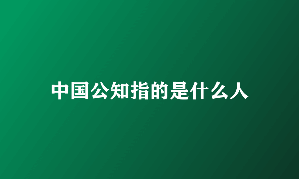 中国公知指的是什么人