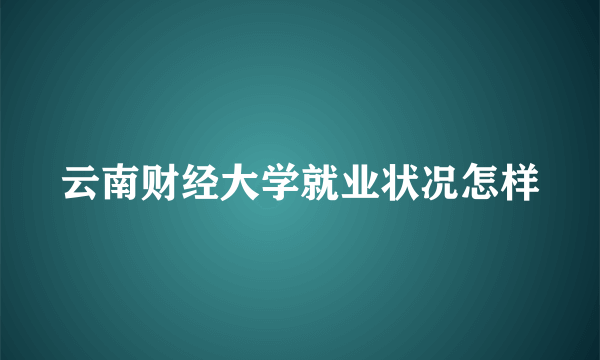 云南财经大学就业状况怎样