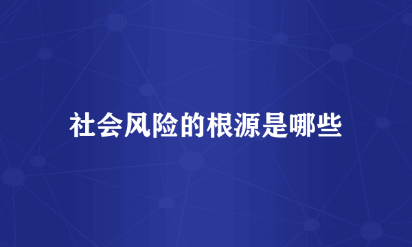 社会风险的根源是哪些