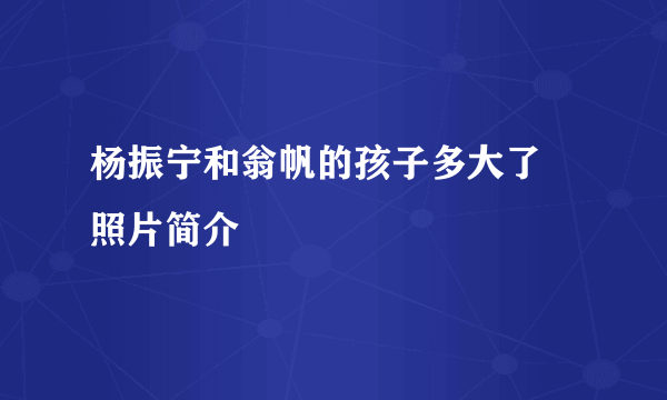 杨振宁和翁帆的孩子多大了 照片简介