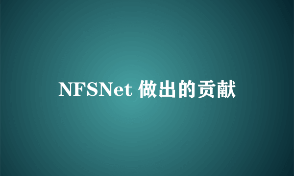 NFSNet 做出的贡献