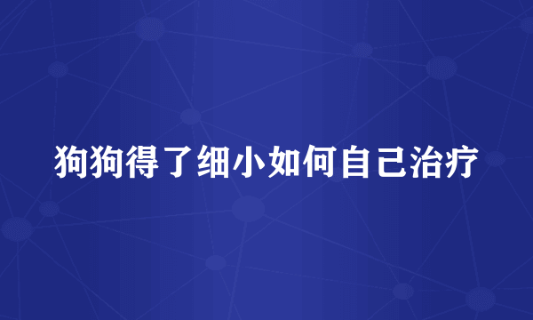 狗狗得了细小如何自己治疗