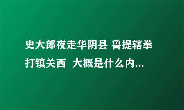 史大郎夜走华阴县 鲁提辖拳打镇关西  大概是什么内容啊？？