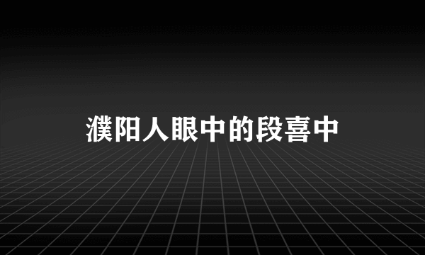 濮阳人眼中的段喜中