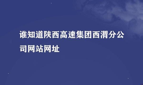 谁知道陕西高速集团西渭分公司网站网址