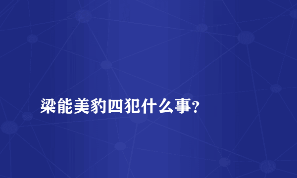 
梁能美豹四犯什么事？

