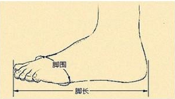 美国鞋码和中国的怎么换算