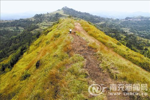 伍果丽的介绍