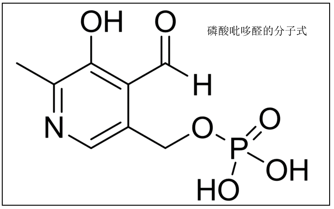 生物化学中PLP代表什么？