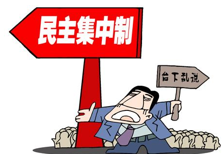 民主集中制原则是什么？