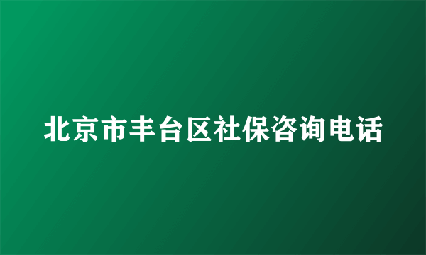 北京市丰台区社保咨询电话