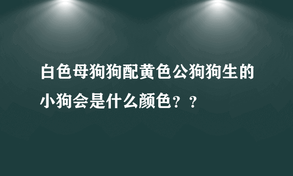 白色母狗狗配黄色公狗狗生的小狗会是什么颜色？？