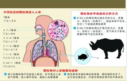 颗粒物的分类