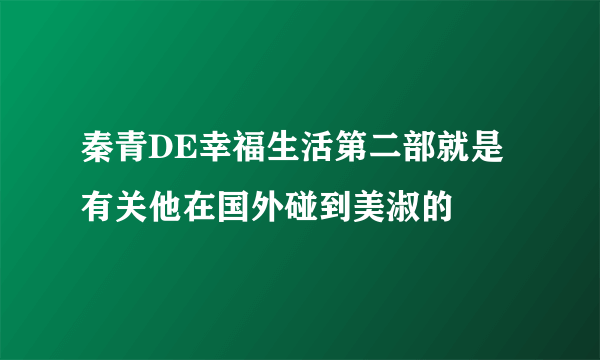 秦青DE幸福生活第二部就是有关他在国外碰到美淑的