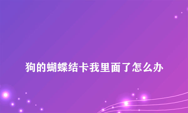 
狗的蝴蝶结卡我里面了怎么办

