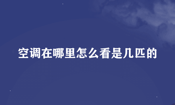 空调在哪里怎么看是几匹的