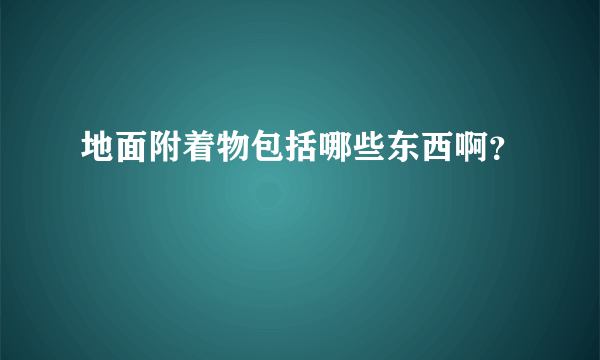 地面附着物包括哪些东西啊？