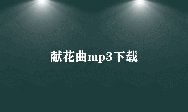 献花曲mp3下载