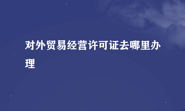 对外贸易经营许可证去哪里办理