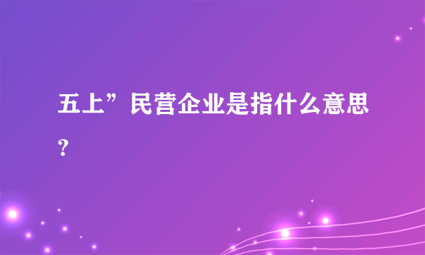 五上”民营企业是指什么意思？